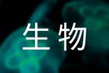 生物教学总结(15篇)