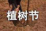 【必备】植树节倡议书