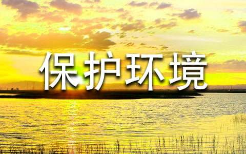 ���������Ľ����顾�Ƽ���