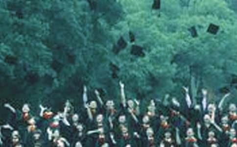 ��ҵ����������