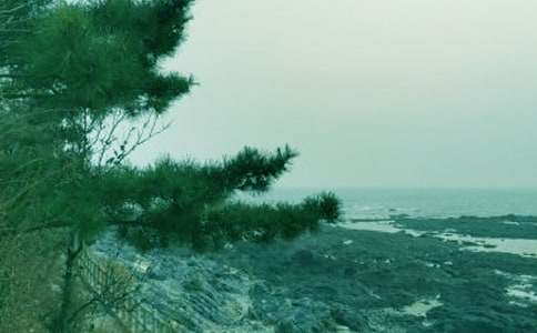 �����˰�����ж������ܽ�(10ƪ)