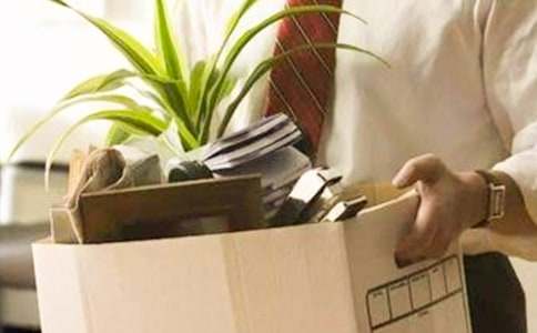 ������ְ����14ƪ