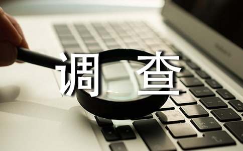安全事故调查报告