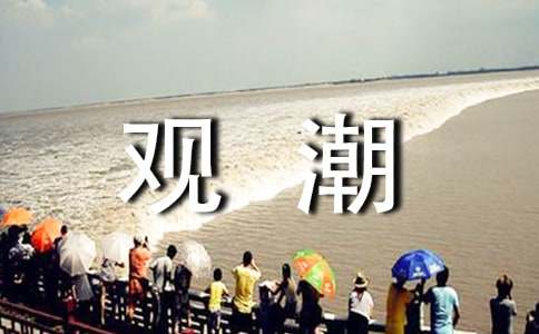 观潮教学设计
