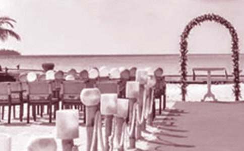 ����Ů���´�