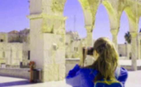 ��ѧ���������ʵ������15ƪ