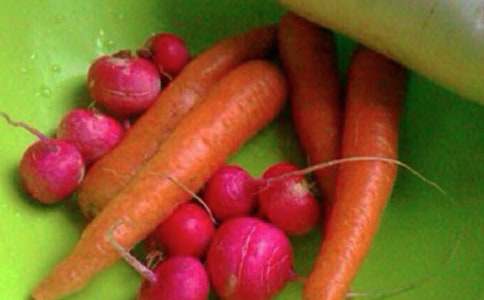 ʵ�õ��������������ƻ�4ƪ