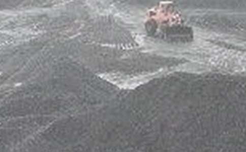 ���ȣ�ú��ȫ��ŵ��