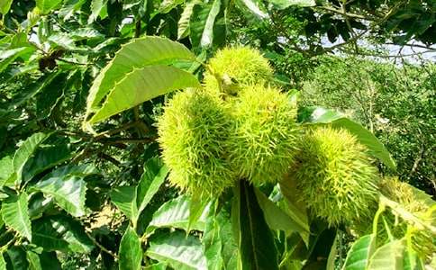 ũ���ֲ߻���