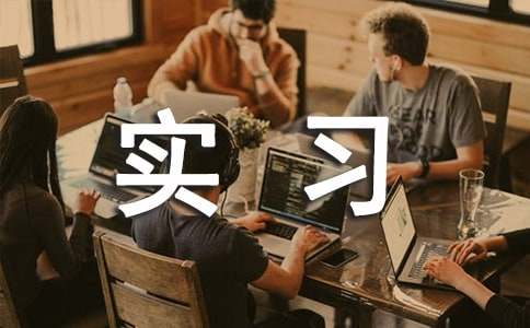 报社的实习总结