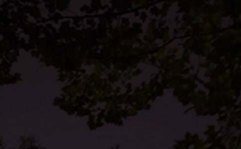 �Ƽ�ů�������������135��