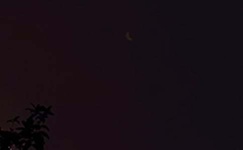 �Ƽ����������������170�侫ѡ