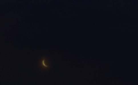 2026��򵥵�Ψ��������QQ�ʺ��Ｏ��65��