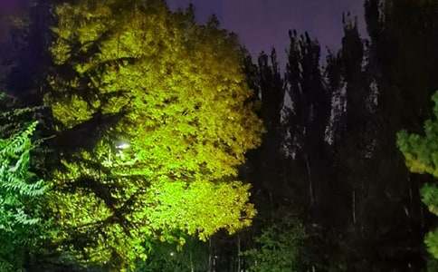 �����š�2026��Ψ��������QQ�ʺ�����45��