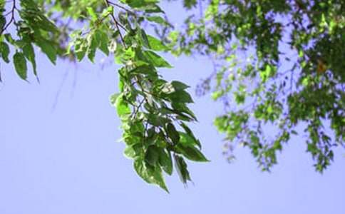 ��ܰ���簲QQ�ʺ���ϼ�72��