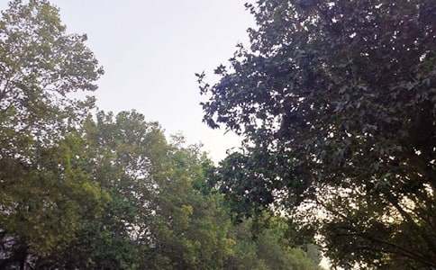 �������簲ף�����ȫ60��