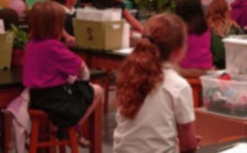 ���ȡ�Сѧ������