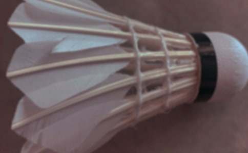 羽毛球比赛活动方案