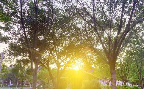 ��ů���簲�����ѡ130�䣩