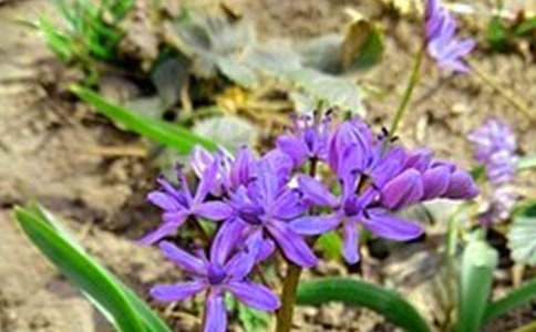 流行暖心早安寄语(精选155句)