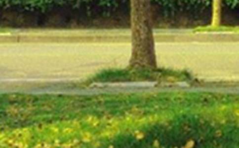 ���������簲ף���ͨ��45�䣩