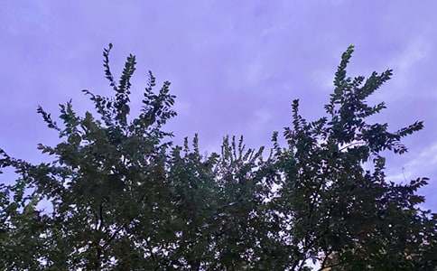 �����簲�ʺ����ȫ100�侫ѡ