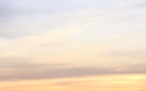 �����š�2026��ף��������簲�ʺ���28��