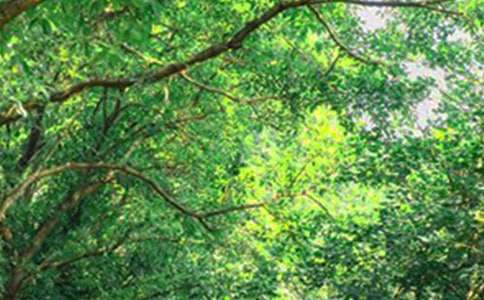 �����������簲˵˵��ȫ70��