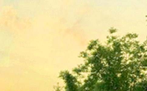 �����簲����90��