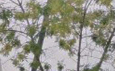 ���ر�����ܰ���簲�ʺ�����¼�ϼ�46��