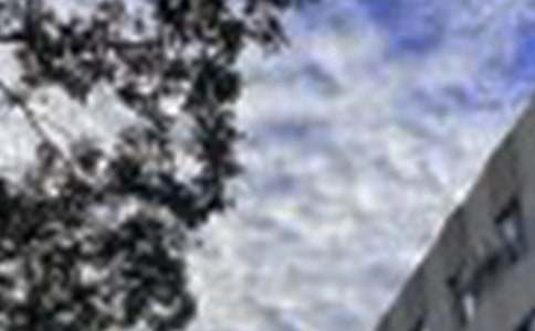 2026�곣��Ψ�����簲����Ȧ�ʺ�����61��