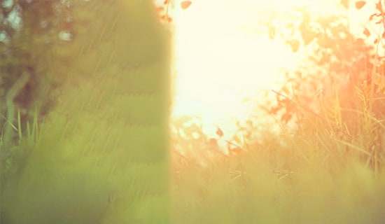 ���ھ����ټ���ʮ�����Ψ����������¼��ͨ��40�䣩