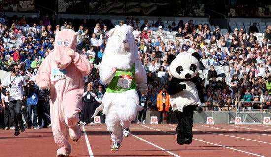 校园运动会加油稿精选15篇