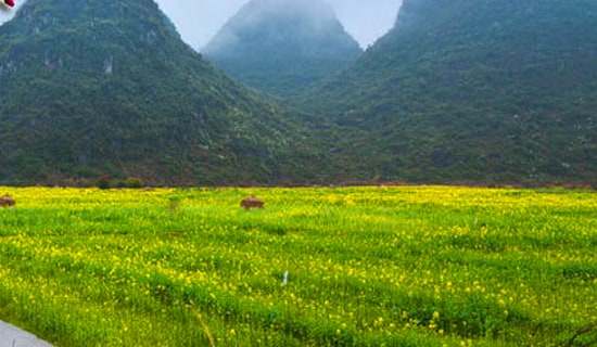 ���λ�����ϼ�15ƪ